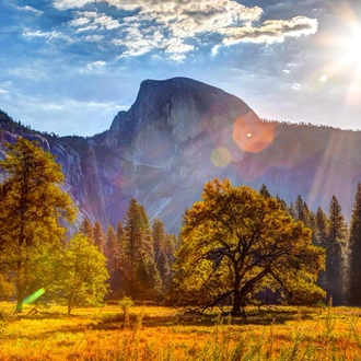 tourhub | Intrepid Travel | Hiking in Yosemite National Park 