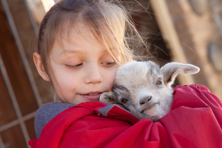 Baby Goat Snuggling Party: BYOB Animal Therapy Sesh image 2