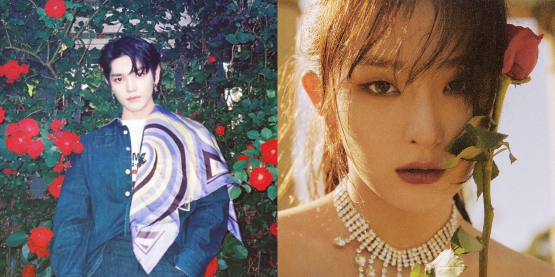 NCT's Taeyong and Red Velvet's Seulgi drop collaborative track 'Rose' – listen