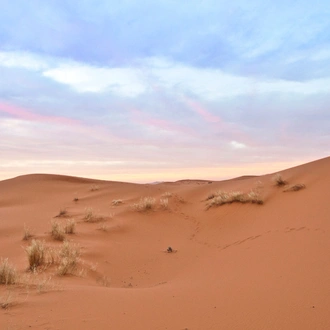 tourhub | G Adventures | Morocco Family Journey: Ancient Souks to the Sahara 