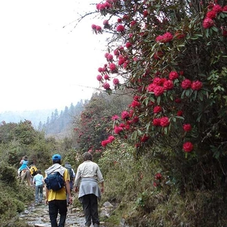 tourhub | Bhutan Acorn Tours & Travel | Wonders of Bhutan Incl. (3-Day) Gangtey Nature Trek 