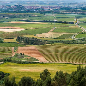 tourhub | Exodus Adventure Travels | Vineyards of La Rioja Cycling 