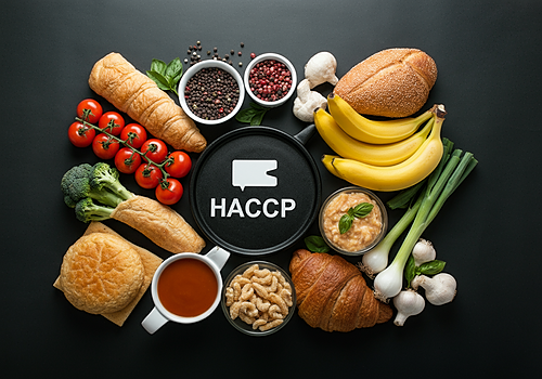 Représentation de la formation : HACCP et Sécurité Alimentaire en ESMS