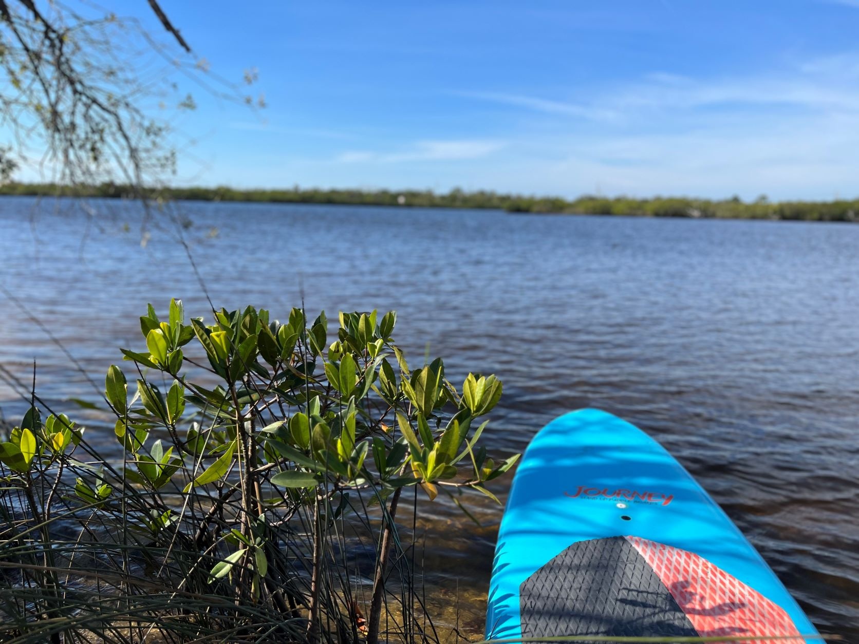 Mangrove Paddle Adventure