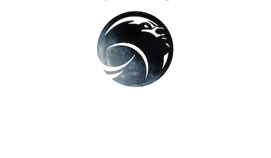 Return to the Moon