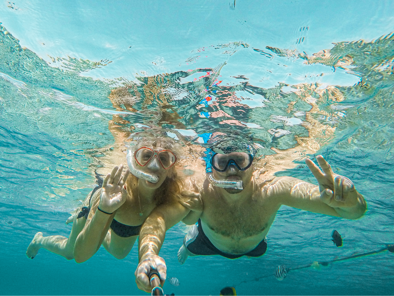 Barrier Reef Snorkel 🐠