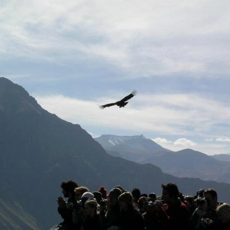 tourhub | Tangol Tours | 11-Day Trip to the South of Peru 