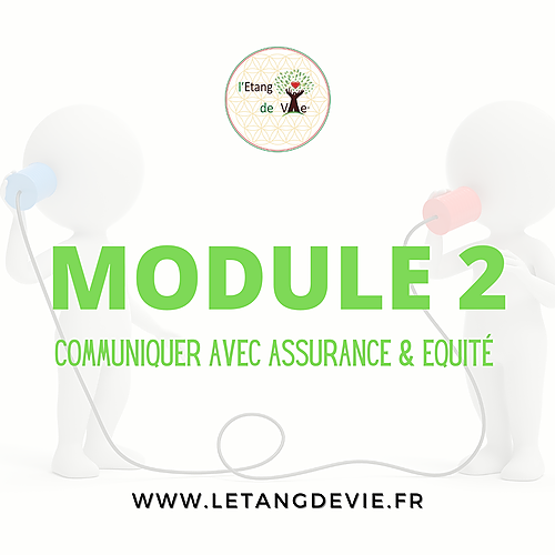 Représentation de la formation : Module 2 : Communiquer avec assurance et équité