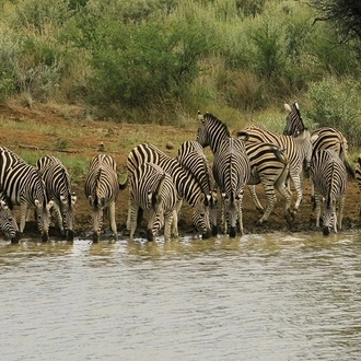 tourhub | Widerange African Safaris | 3 days Tanzania Sharing | Private Camping Safari package 