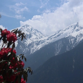 tourhub | Liberty Holidays | Annapurna Base Camp Trek from Kathmandu 