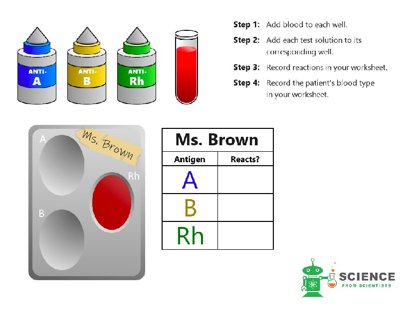 12 Blood Type Activities To Boost Student Learning Teaching Expertise