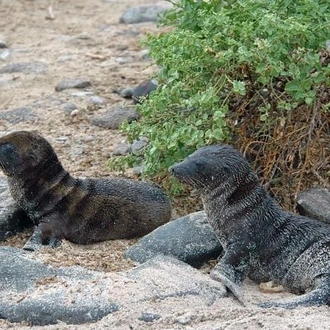 tourhub | BM Tours | Galapagos - Exploring San Cristobal Island 4 Days 