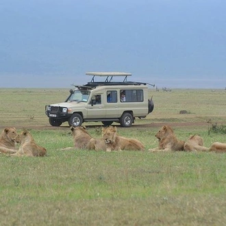 tourhub | Alaitol Safari | 5 Days - Tanzania Camping Safari To  Serengeti and the Ngorongoro Crater 