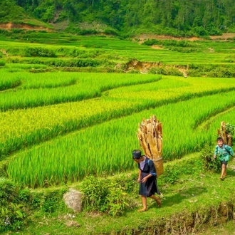 tourhub | Open Asia Travel | 2 Days 1 Night Sapa with Trekking - Overnight in Ethnic Homestay | Round-trip Sleeping Bus Transfers from Hanoi | Vietnam 