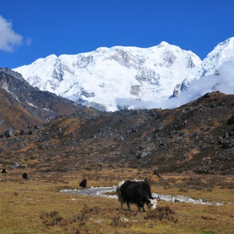 tourhub | Mount Adventure Holidays | Kanchenjunga Circuit Trek 