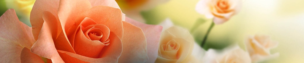Cover photo for MAY ROSE WALKER's Obituary