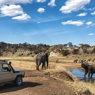 tourhub | Gracepatt Ecotours Kenya | 12 Days Tanzania Best Wildlife Safari And Zanzibar Beach Holiday  