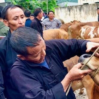 tourhub | Mr Linh's Adventures | Ha Giang Motorbike Tour 4 days 3 nights 