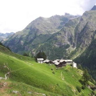 tourhub | UTracks | Monte Rosa Alpine Walk 