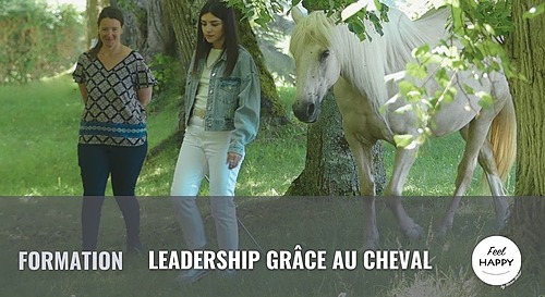 Représentation de la formation : Leadership grâce au cheval