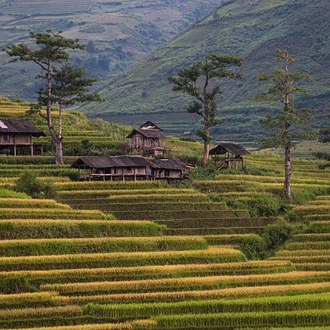 tourhub | G Adventures | Classic Vietnam: Sapa to Ho Chi Minh 