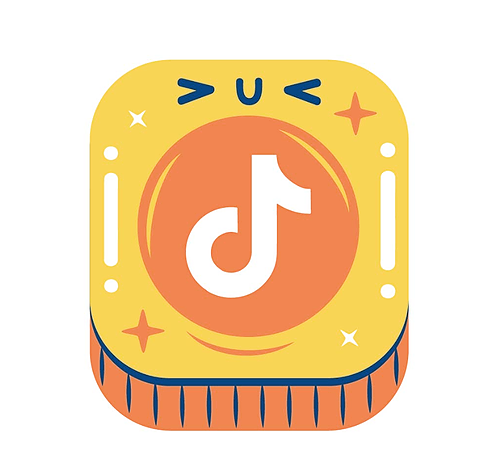 Représentation de la formation : Utiliser TikTok pour son activité professionnelle