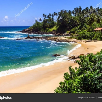 tourhub | Ceylon Travel Dream | CEYLON BEACH & SAFARI EXPERIENCE  