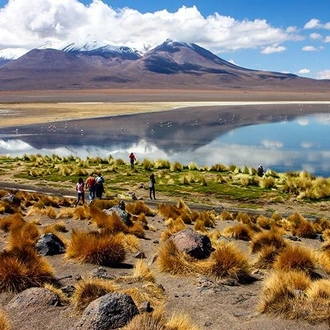 tourhub | Bamba Travel | Uyuni Salt Flats & Desert Adventure 5D/4N (La Paz to La Paz) 