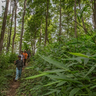 tourhub | G Adventures | Northern Thailand Hilltribes Trek 