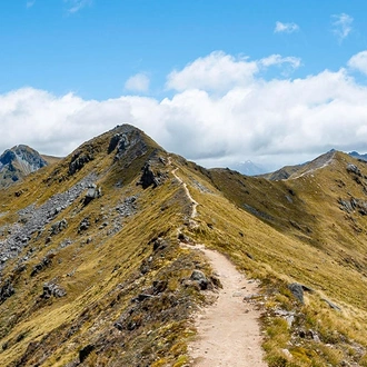 tourhub | Intrepid Travel | Walk New Zealand's Fiordland National Park 