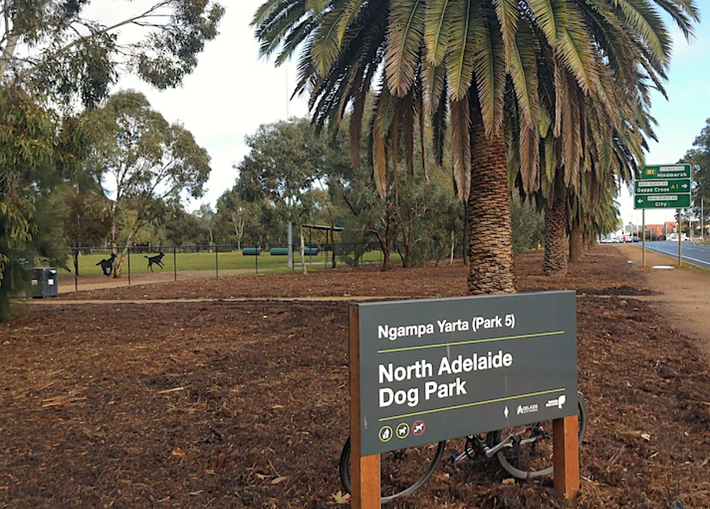 North Adelaide Dog Park, in Bragg Park / Ngampa Yarta (Park 5)