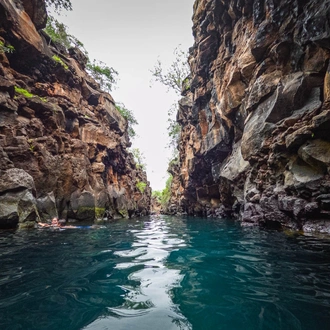 tourhub | Ecuador Galapagos Travels | Peru-Ecuador & Galapagos Islands 