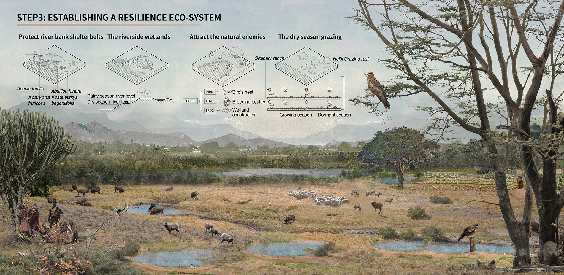 SPEP3:ESTABLISHING A RESILIENCE ECO-SYSTEM