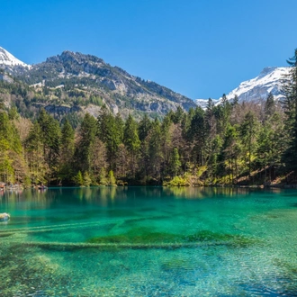 tourhub | Exodus Adventure Travels | Walking and E-biking in the Swiss Alps 