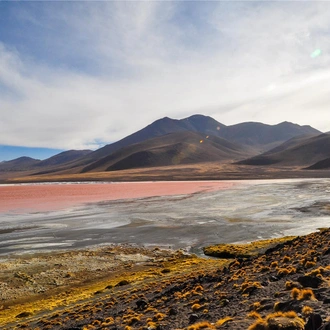 tourhub | Bamba Travel | Bolivia Explorer 9D/8N 