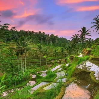 tourhub | Costsaver | Magical Bali 