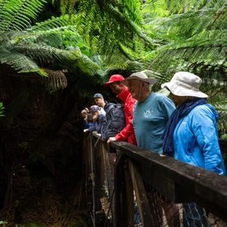 tourhub | Intrepid Travel | Tasmania Adventure 