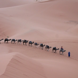 tourhub | Morocco Private Tours | 7 Days Tour from Marrakech to Casablanca visiting Sahara, Fes, Chefchaouen & more 