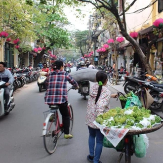 tourhub | Bamba Travel | Vietnam Explorer 15D/14N (from Hanoi) 