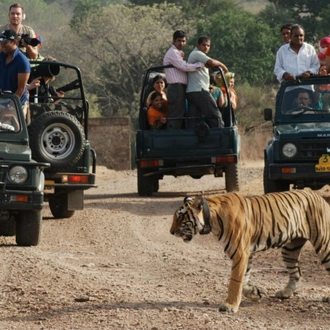 tourhub | Holidays At | India Highlights and Tiger Safari Tour 