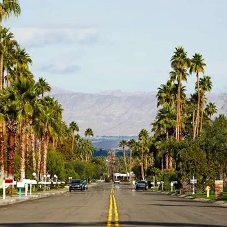 tourhub | Trafalgar | America's Great Desert National Parks End Phoenix 