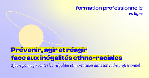 Représentation de la formation : Prévenir , agir et réagir face aux inégalités ethno-raciales 