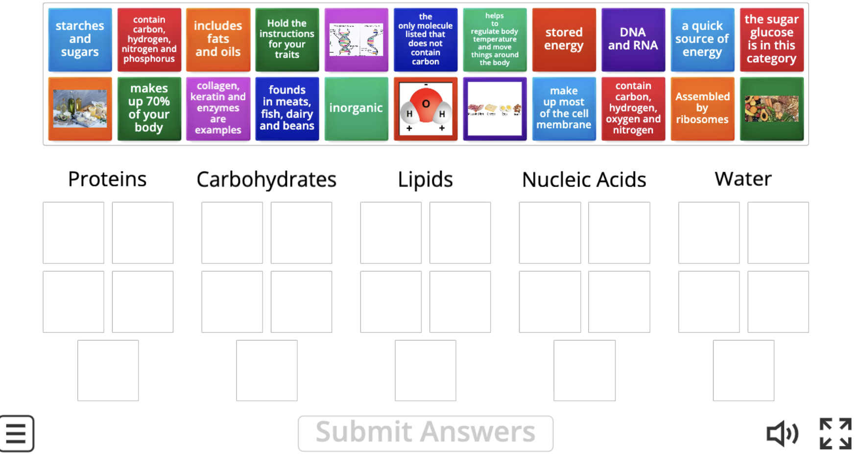 12 Brilliant Activities For Teaching Biomolecules Teaching Expertise