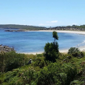 tourhub | Intrepid Travel | Walk Bruny Island & Tasmania's South Coast 