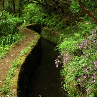 tourhub | Explore! | Madeira Island Discovery 