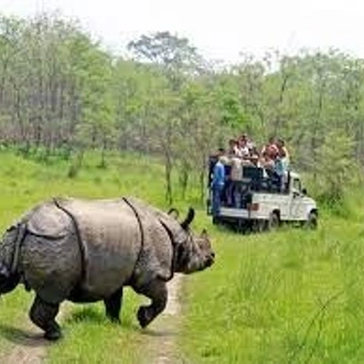 tourhub | Alpine Club of Himalaya | Chitwan National Park Tour - 3 Days 