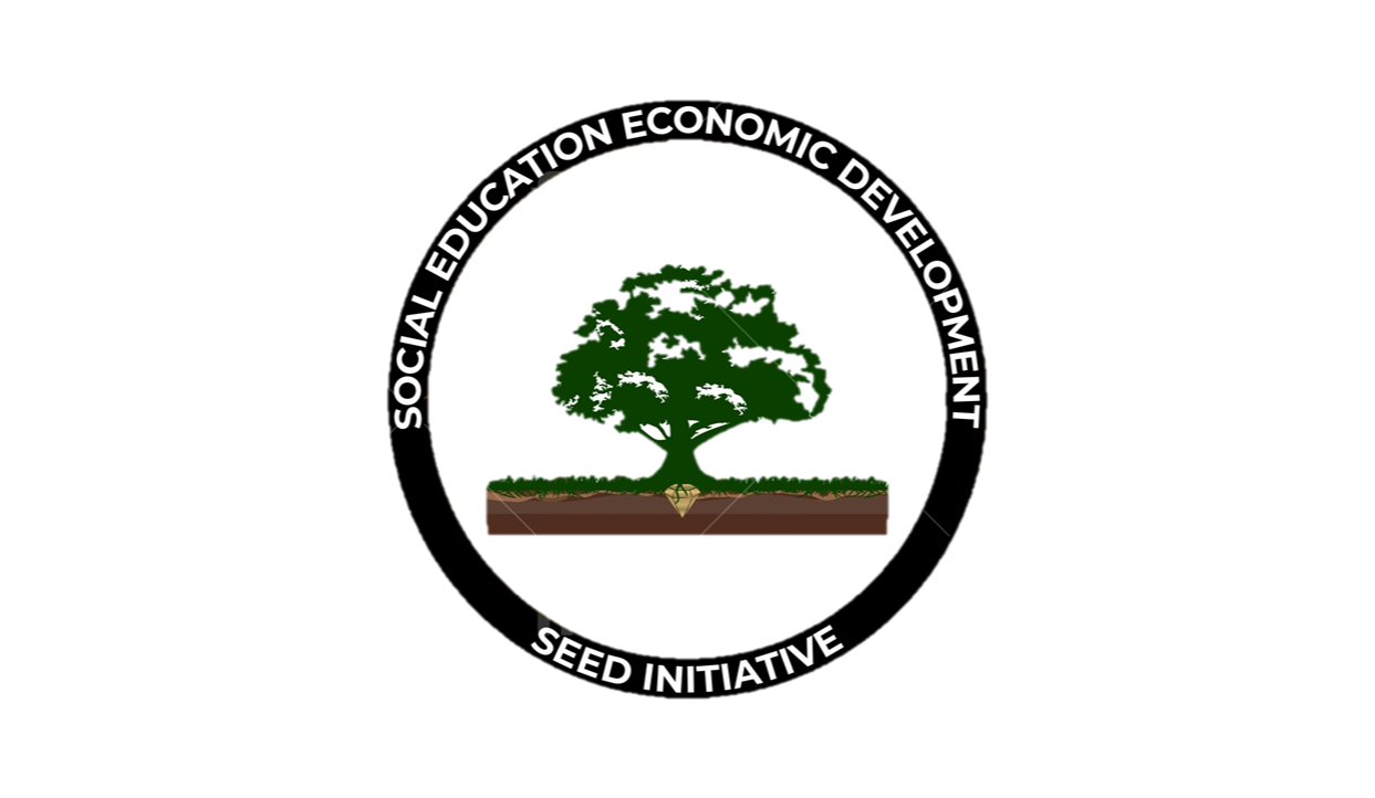 THE SOCIAL EDUCATION ECONOMIC DEVELOPMENT INITIATIVE INC logo