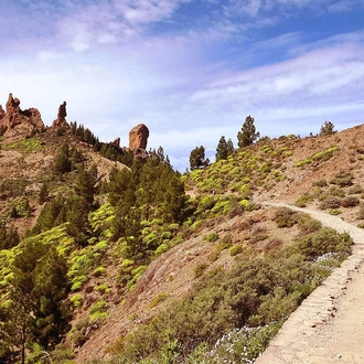 tourhub | Explore! | Canary Islands Walking - Gran Canaria 