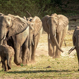 tourhub | G Adventures | Southern Africa Southbound: Dunes, Deltas & Falls 