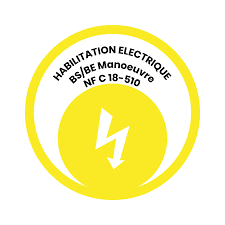 Représentation de la formation : Habilitations Electriques – BS BE Manœuvre (Initial)